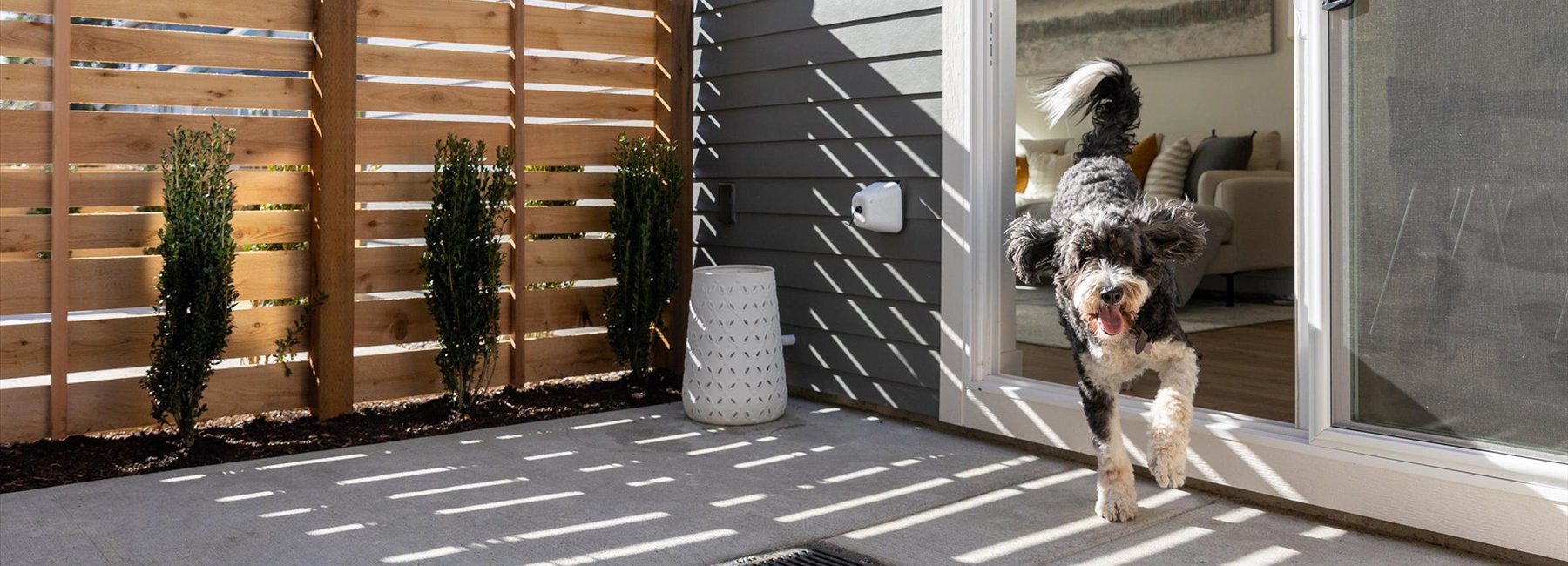 Lander Street Cottages by Rudd Development — North Beacon Hill Neighborhood